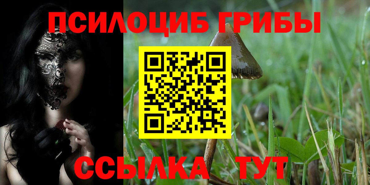 Сухой Лог  Галлюциногенные грибы Psilocybine cubensis  Вход с VPN 