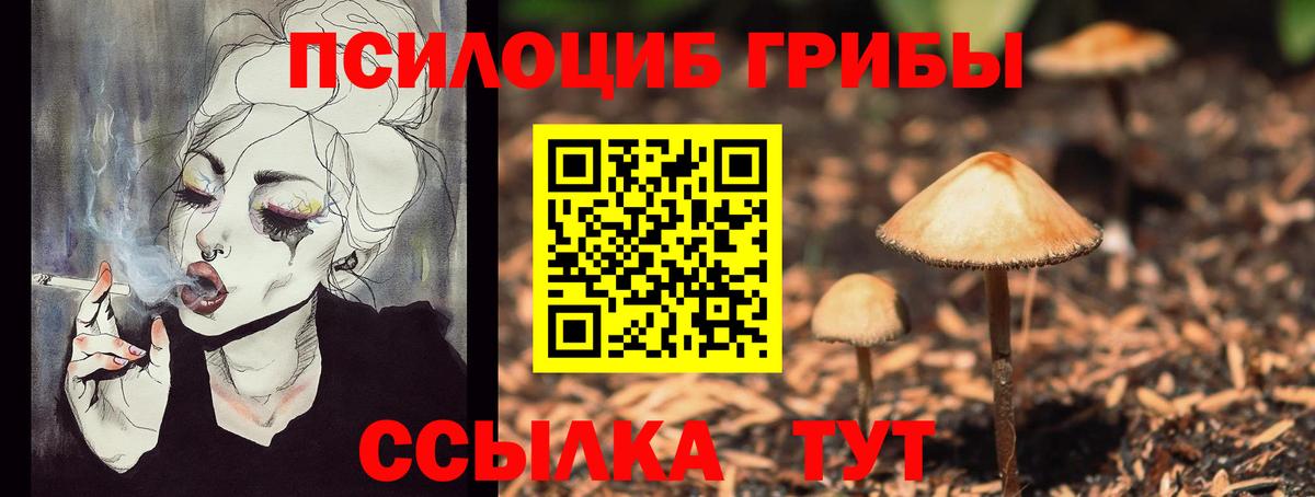A PVP Сухой Лог